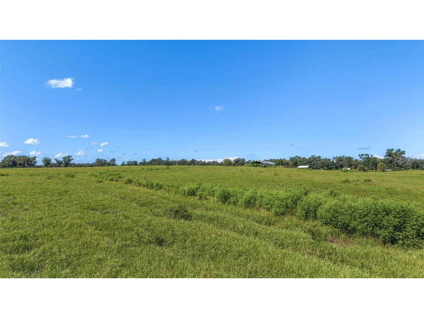 5800 SE 145th Street Summerfield FL 34491 OM705634 image17