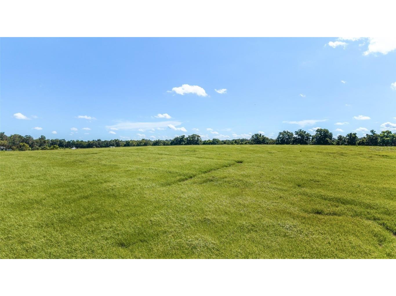 5800 SE 145th Street Summerfield FL 34491 OM705634 image6