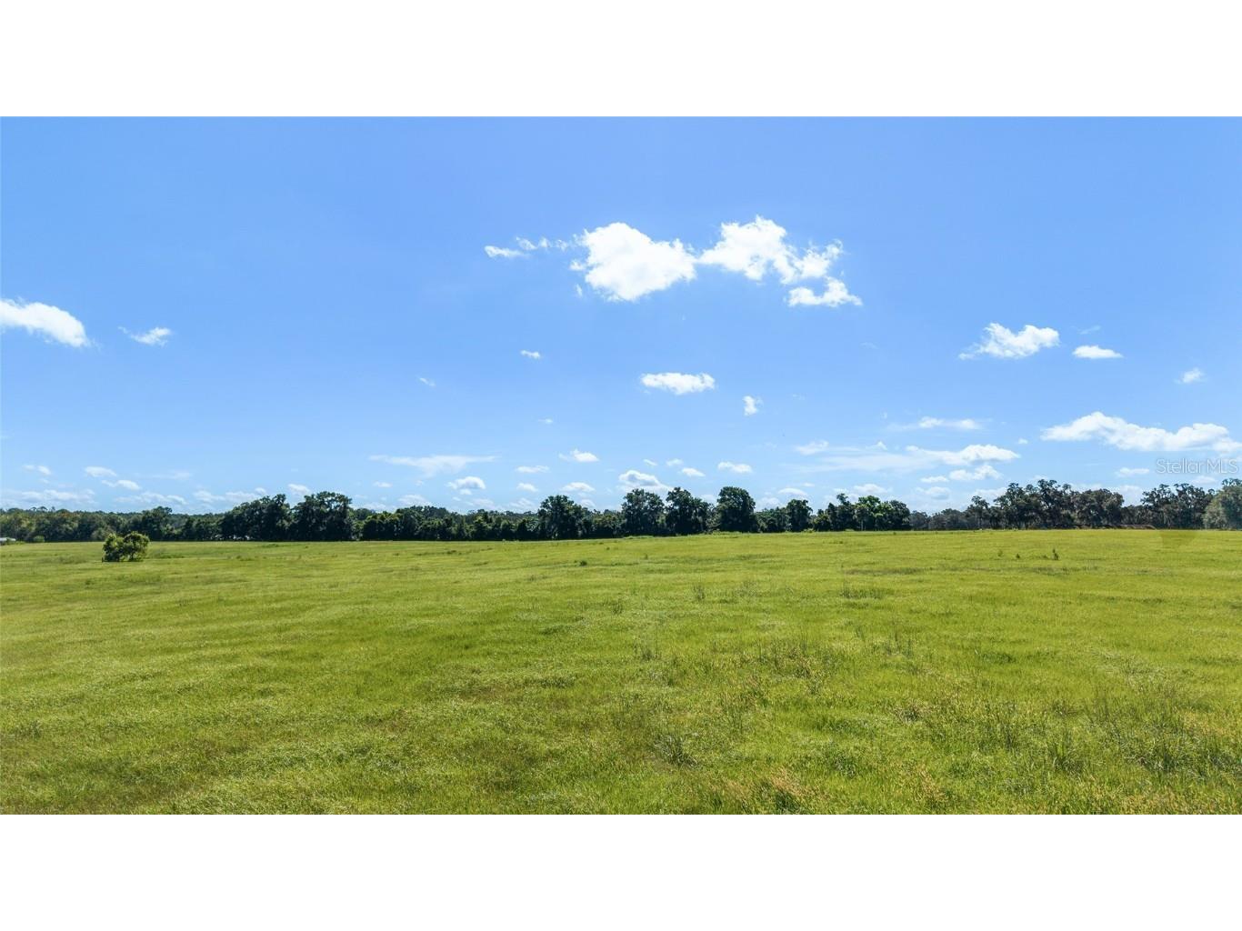 5800 SE 145th Street Summerfield FL 34491 OM705634 image7