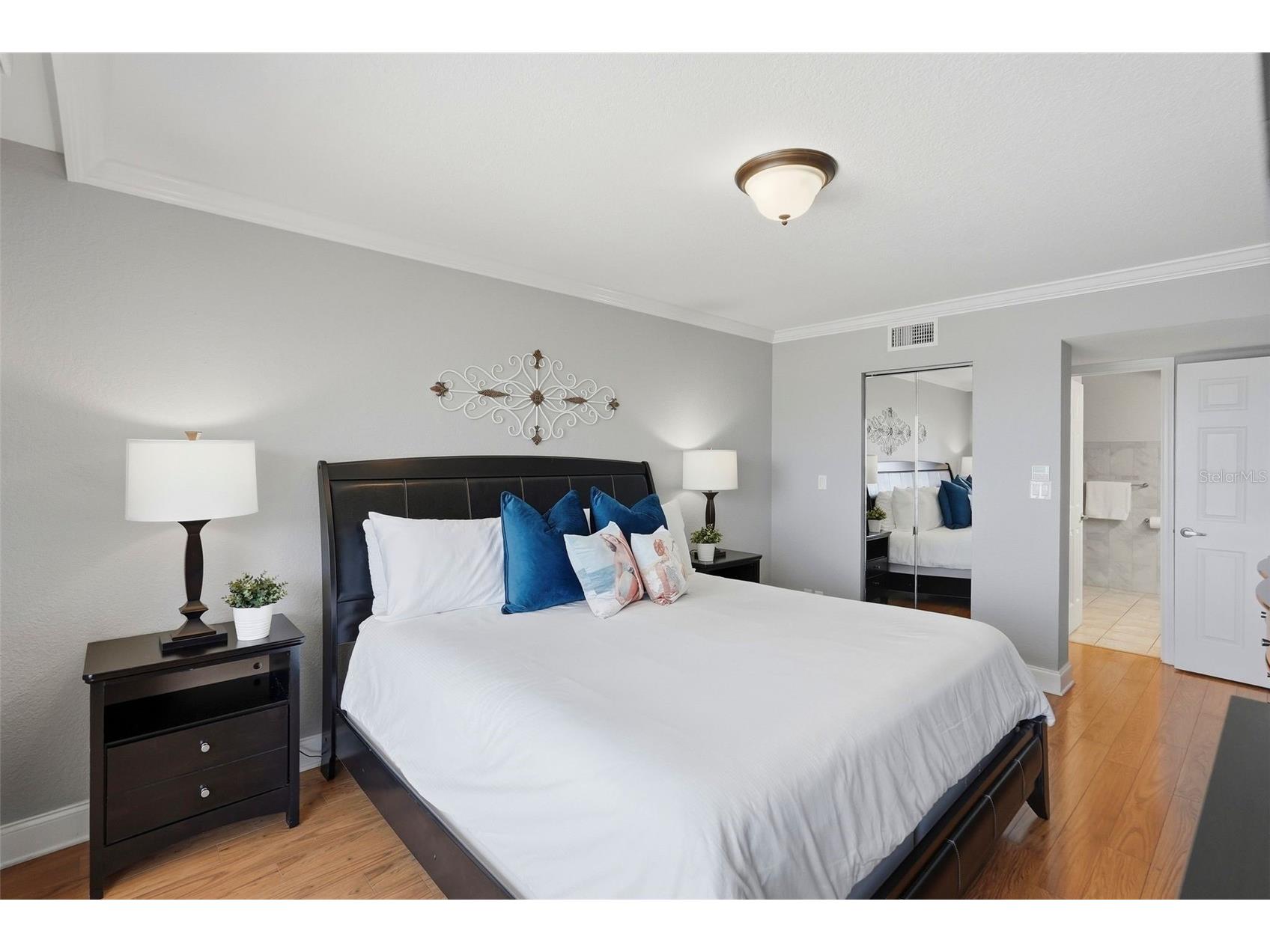 5801 Bahia Del Mar Circle #410 Saint Petersburg FL 33715 TB8486756 image13