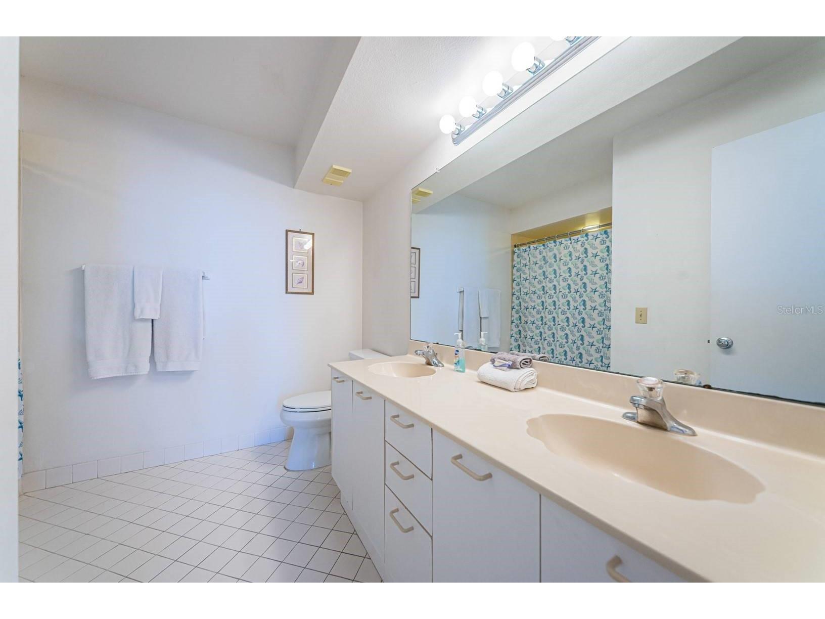 5801 Bahia Del Mar Circle #512 Saint Petersburg FL 33715 TB8474662 image16
