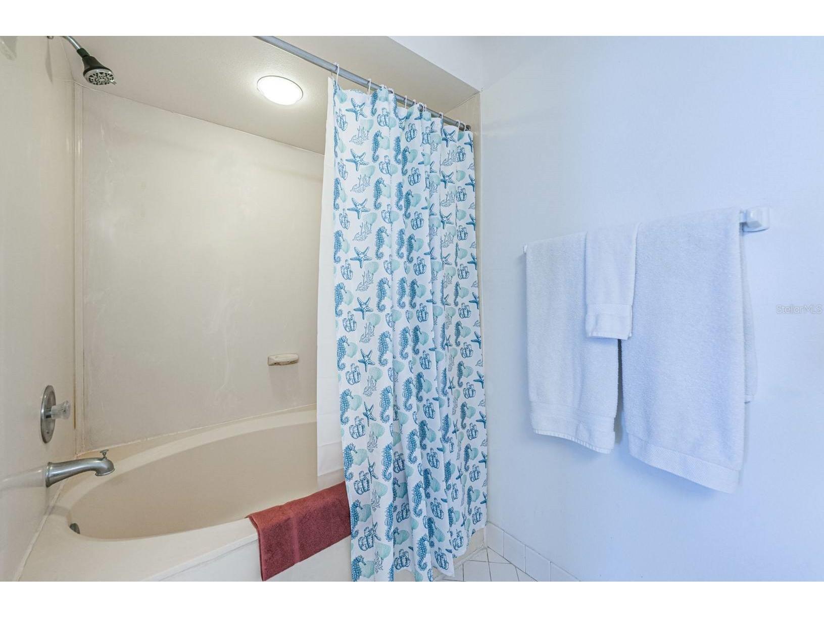 5801 Bahia Del Mar Circle #512 Saint Petersburg FL 33715 TB8474662 image20