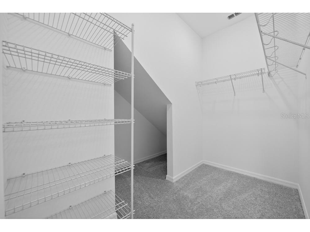 5801 Portico Place Kissimmee FL 34758 O6394755 image15