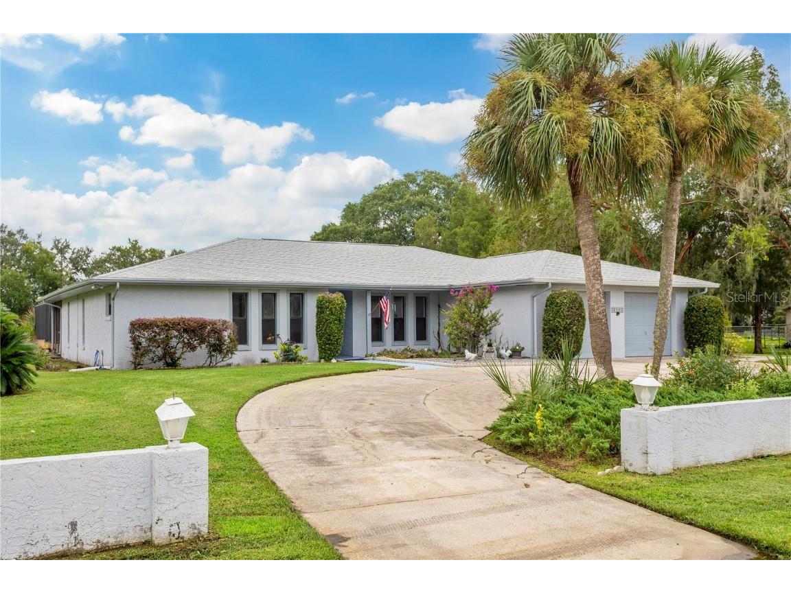 5802 Marie Drive Zephyrhills FL 33541 T3548732 image1