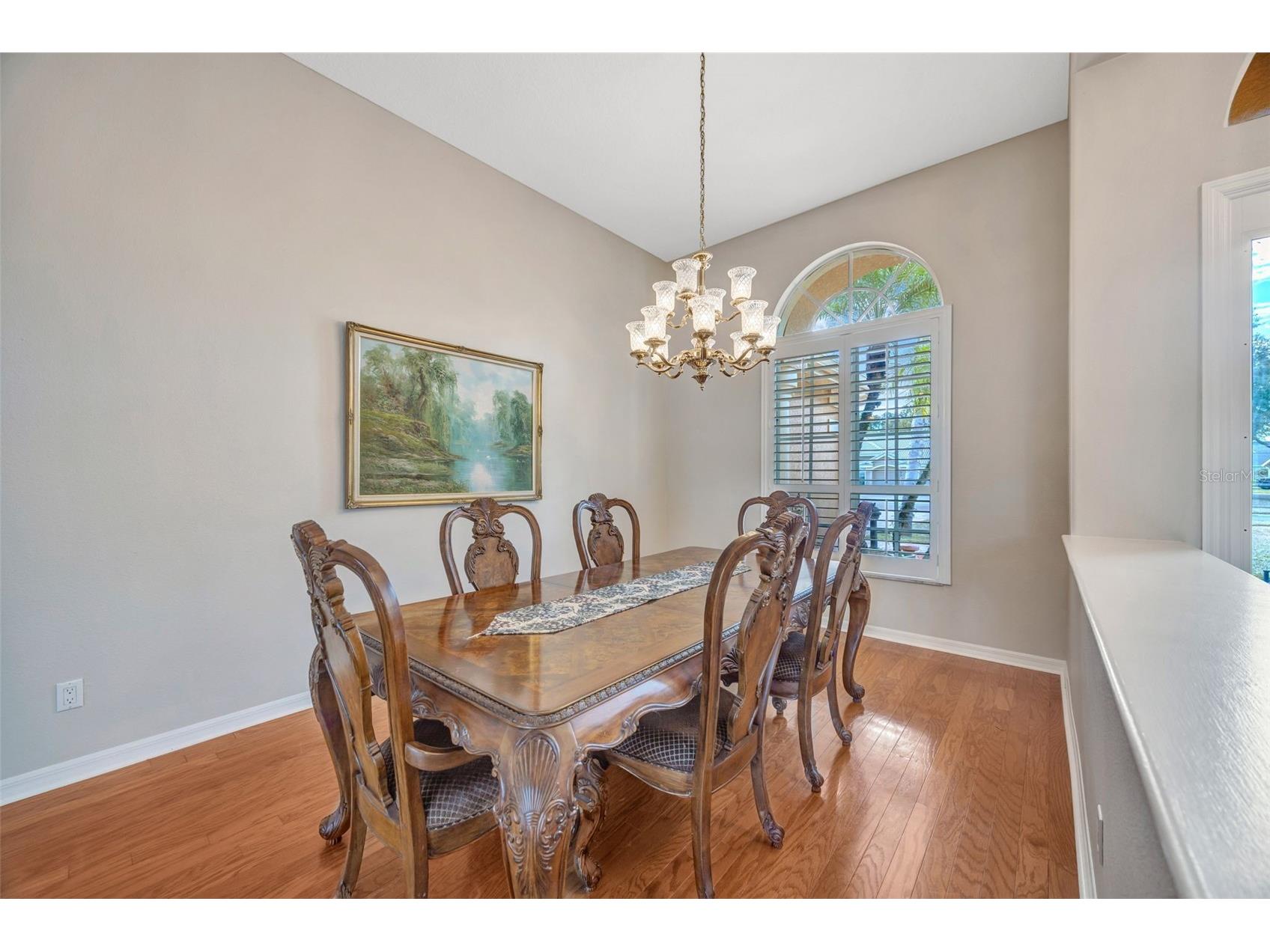 5802 Peach Heather Trail Valrico FL 33596 TB8472581 image13