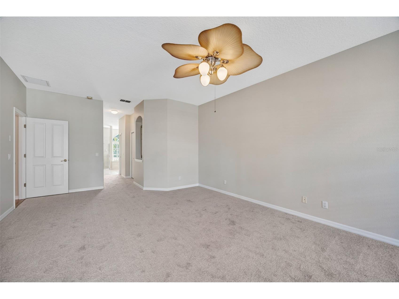 5802 Peach Heather Trail Valrico FL 33596 TB8472581 image27