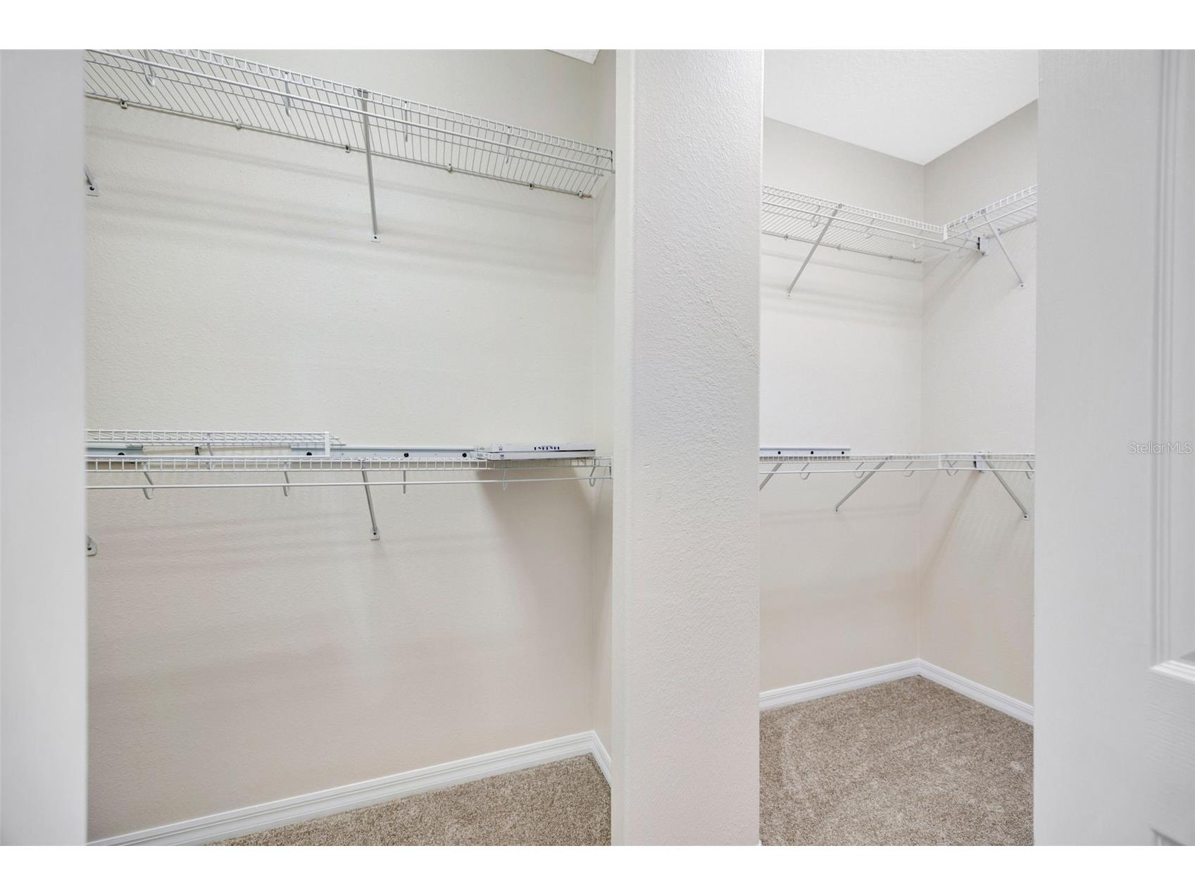 5802 Peach Heather Trail Valrico FL 33596 TB8472581 image29