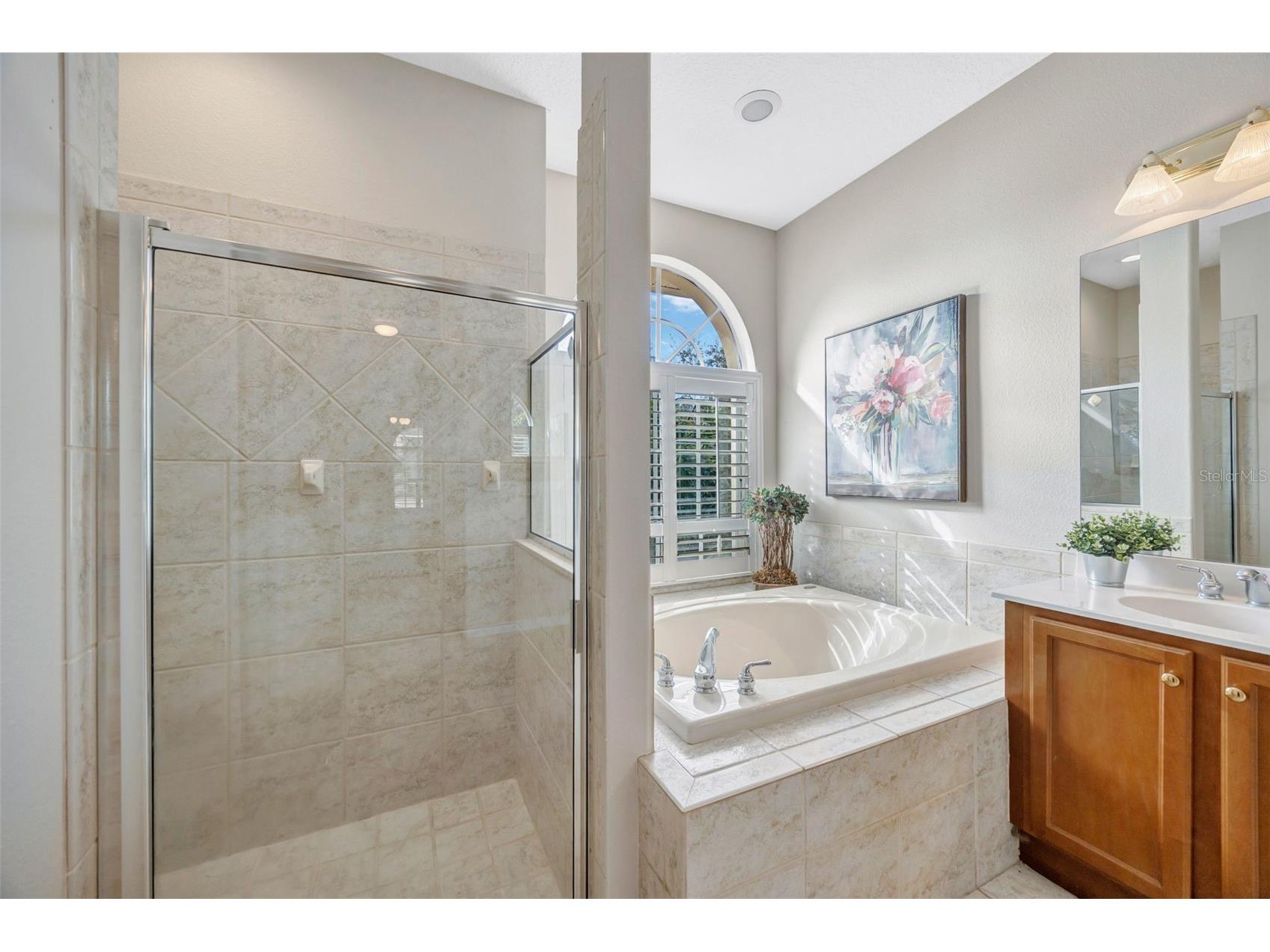 5802 Peach Heather Trail Valrico FL 33596 TB8472581 image31