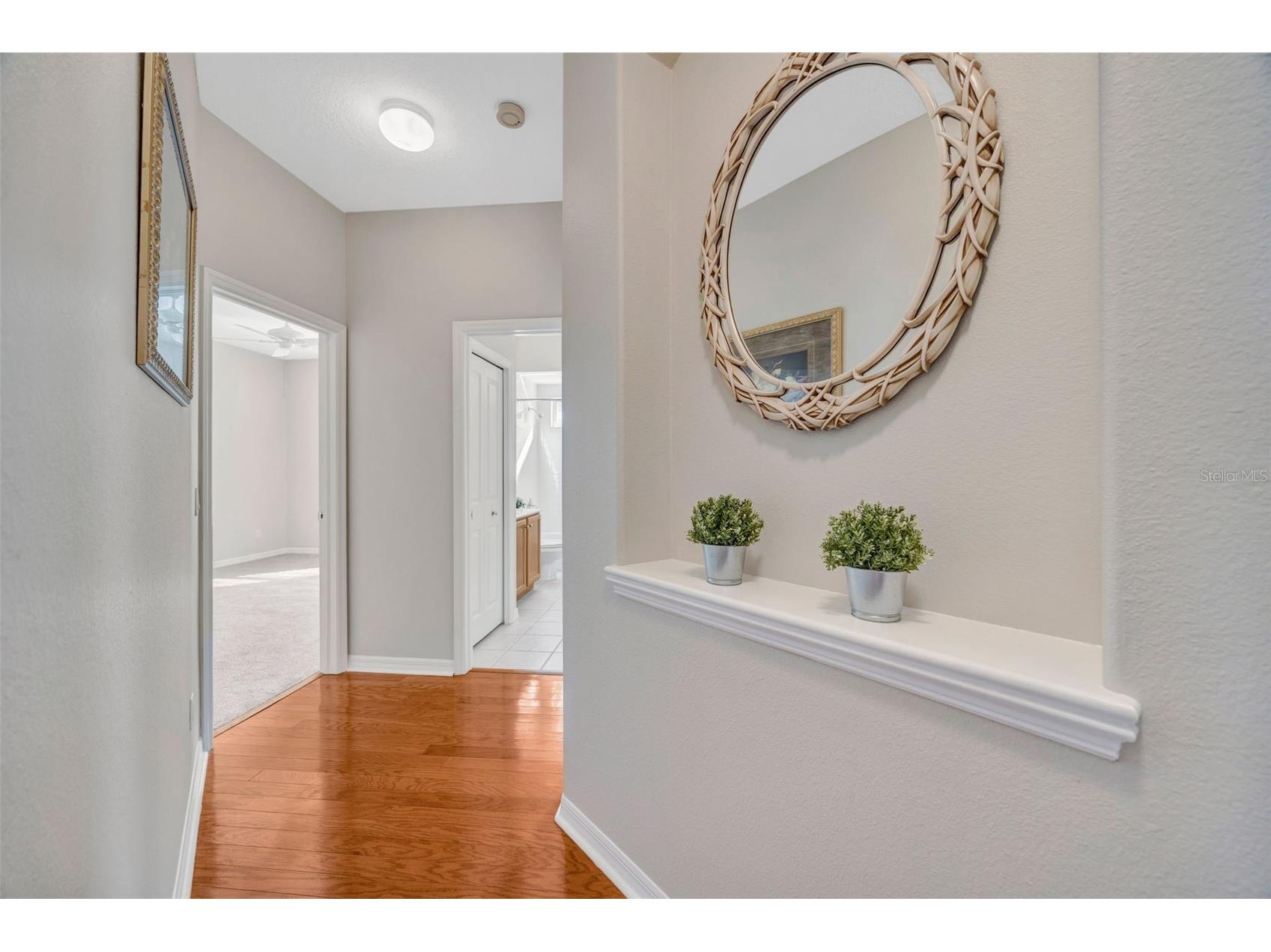 5802 Peach Heather Trail Valrico FL 33596 TB8472581 image33