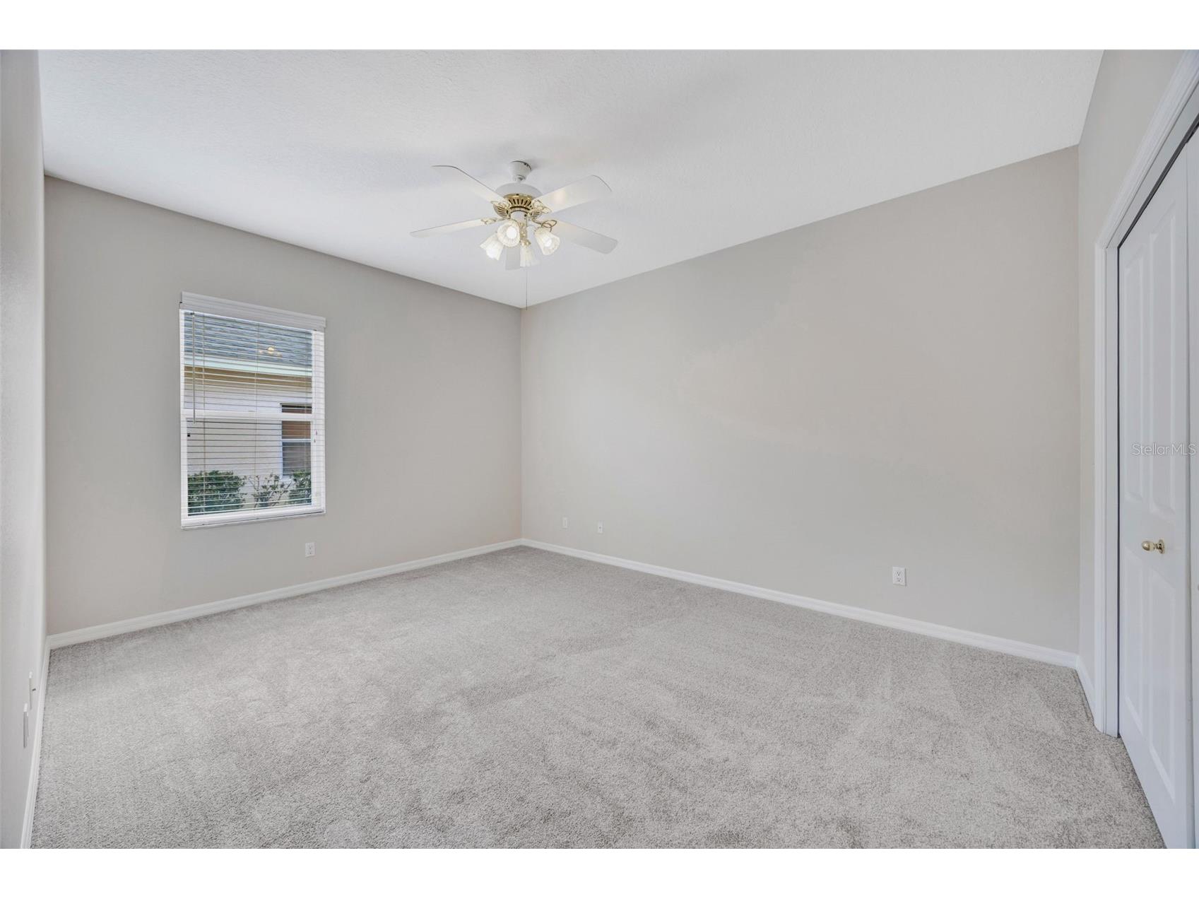 5802 Peach Heather Trail Valrico FL 33596 TB8472581 image35