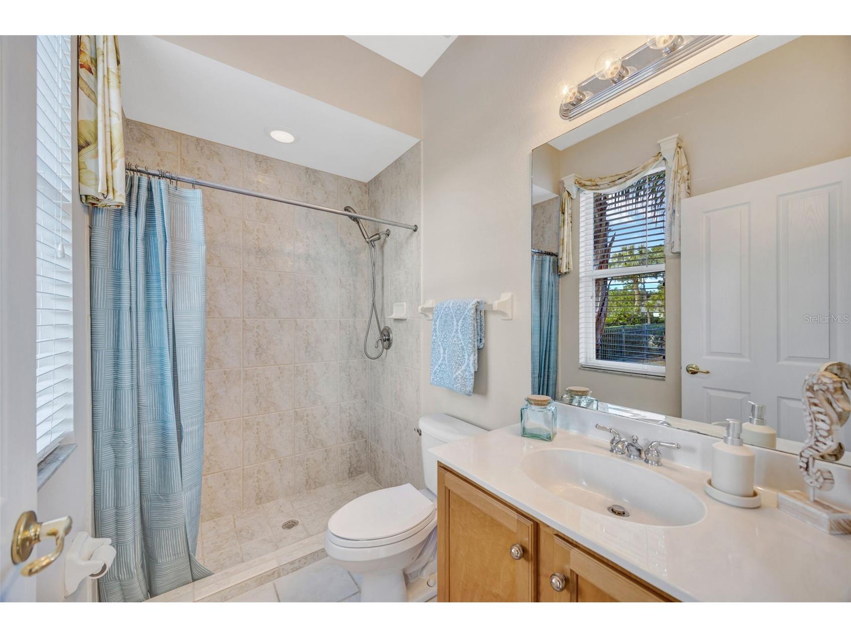 5802 Peach Heather Trail Valrico FL 33596 TB8472581 image40