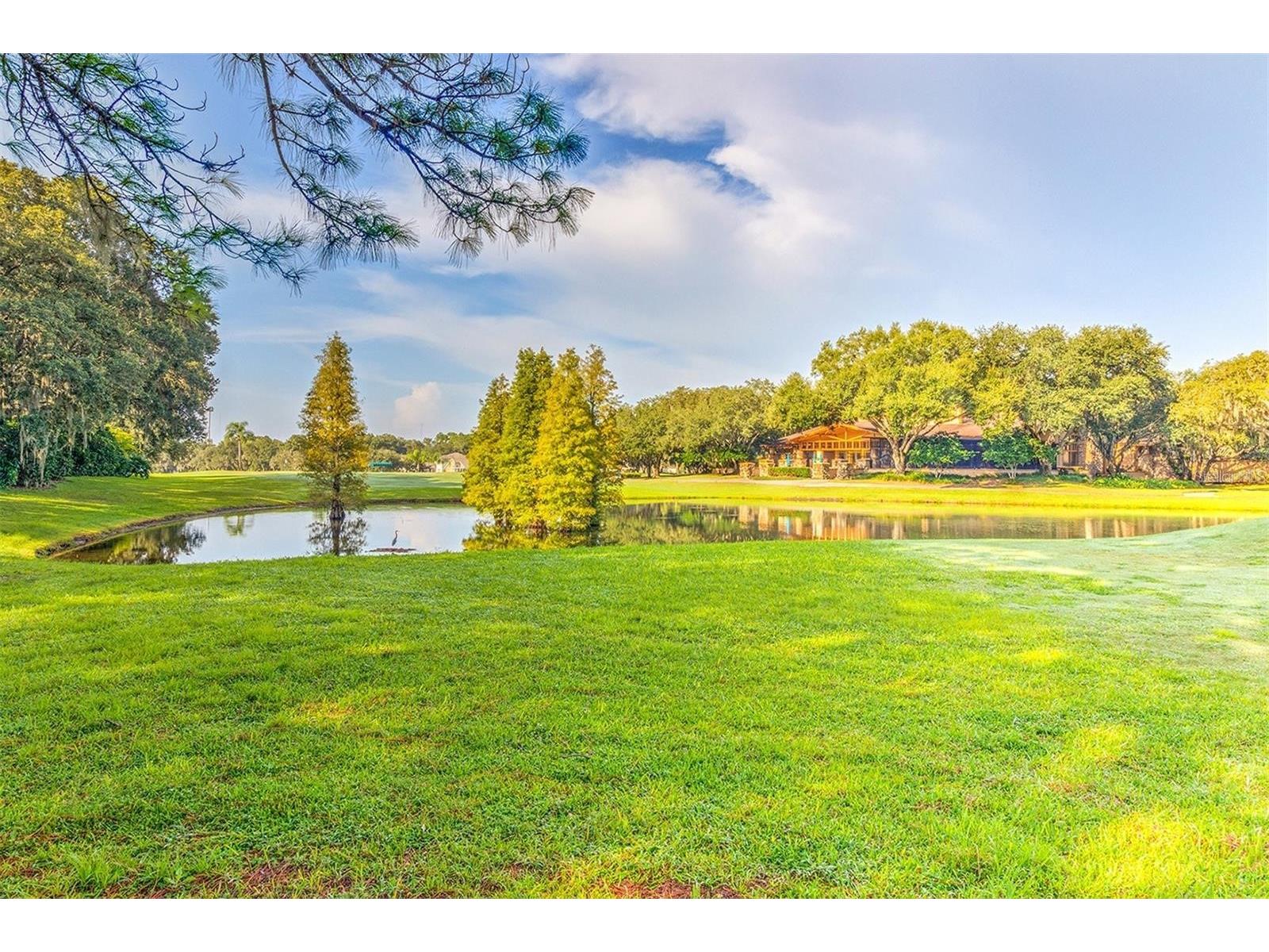 5802 Peach Heather Trail Valrico FL 33596 TB8472581 image48