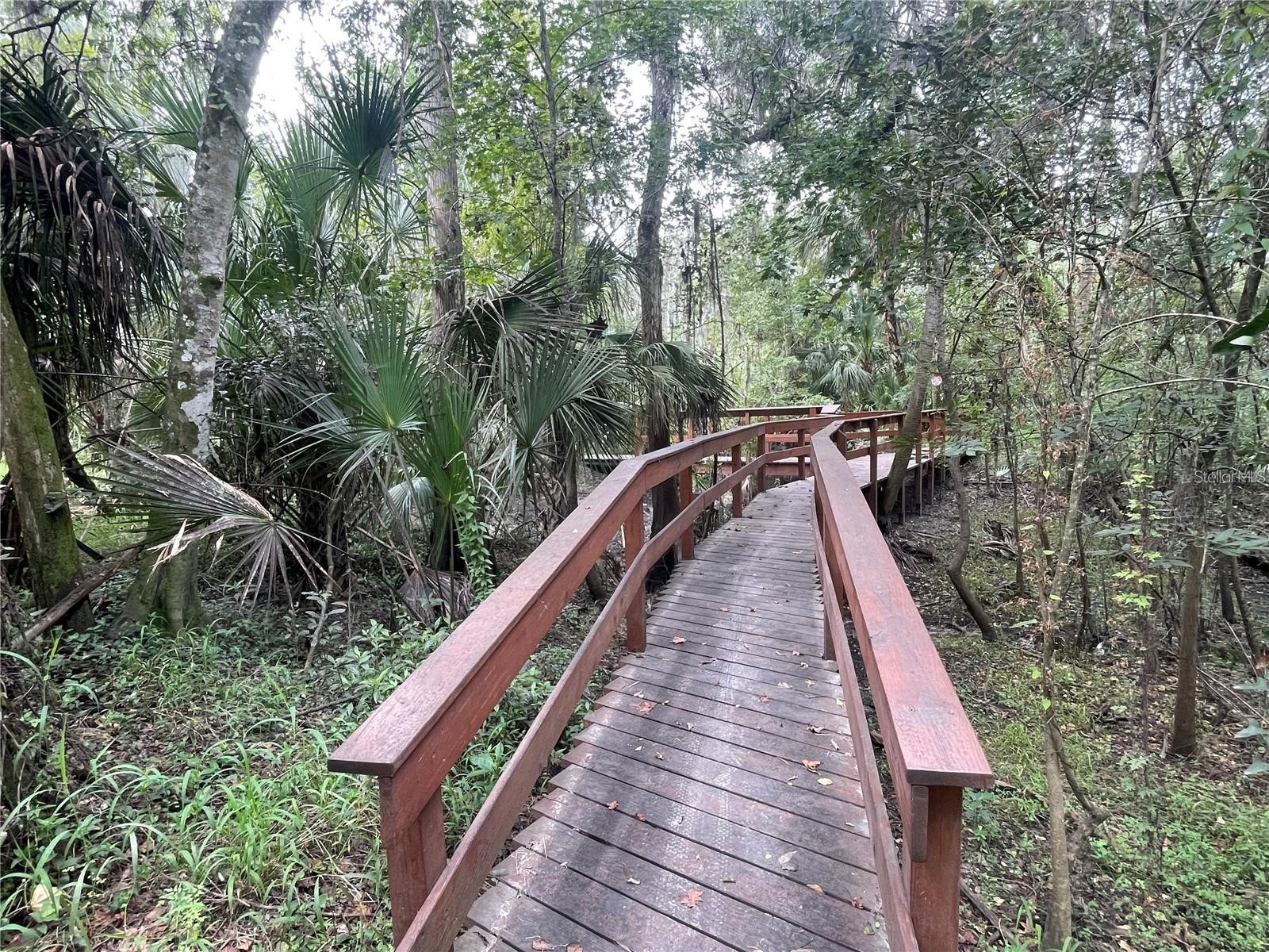 5802 Peach Heather Trail Valrico FL 33596 TB8472581 image49