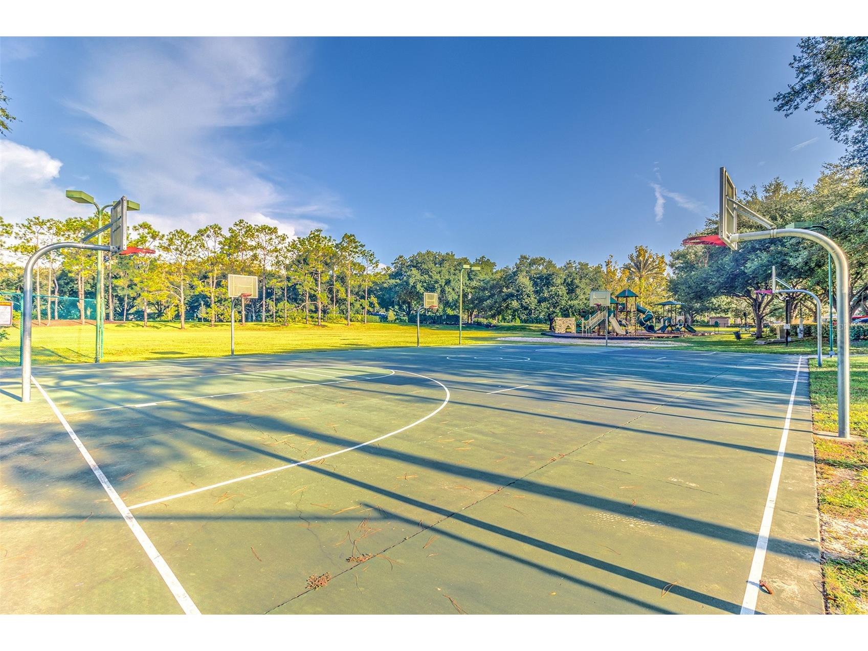 5802 Peach Heather Trail Valrico FL 33596 TB8472581 image51