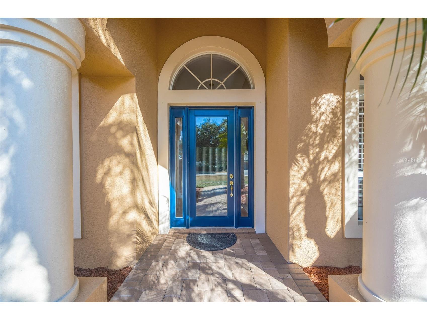 5802 Peach Heather Trail Valrico FL 33596 TB8472581 image8