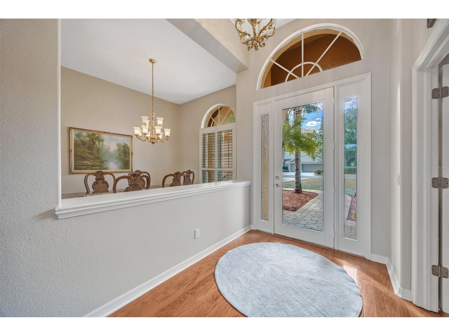 5802 Peach Heather Trail Valrico FL 33596 TB8472581 image9