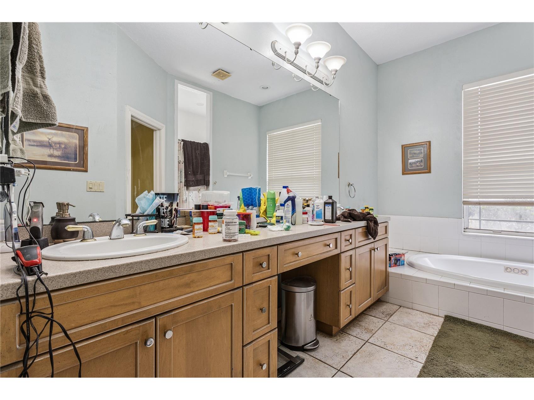 5803 Spring Lake Drive Lakeland FL 33811 O6381434 image17