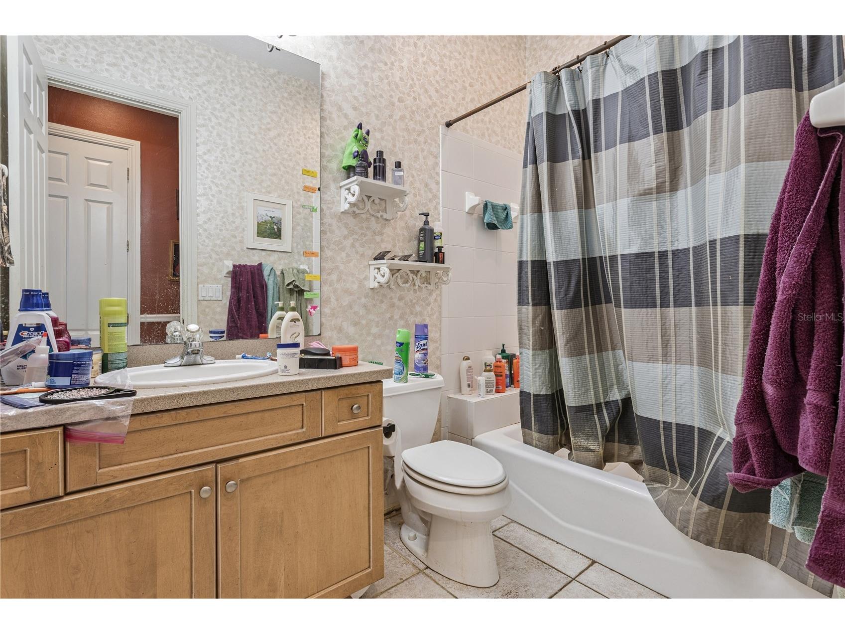 5803 Spring Lake Drive Lakeland FL 33811 O6381434 image19
