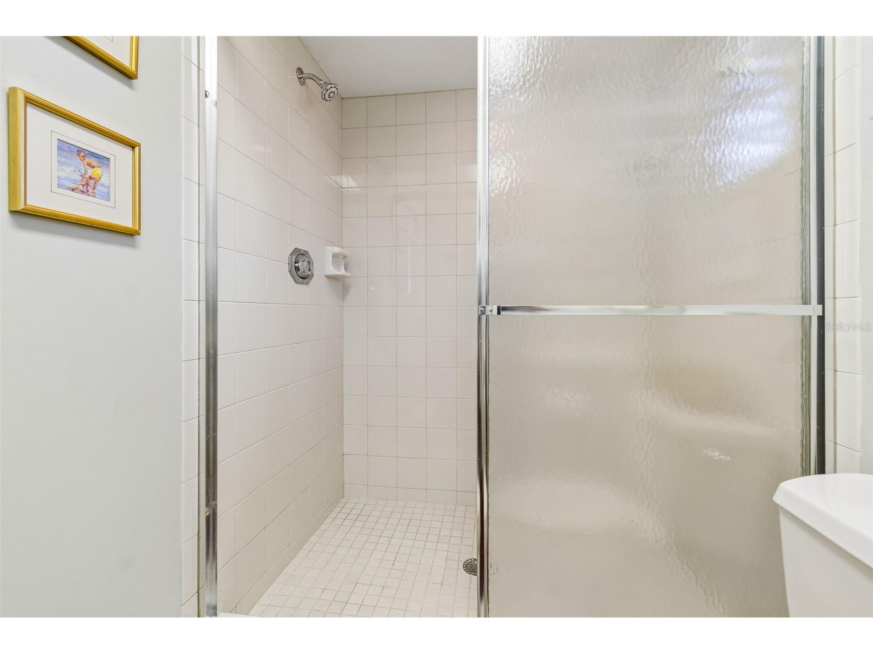 5804 Ainsworth Court E Tampa FL 33647 TB8526144 image49