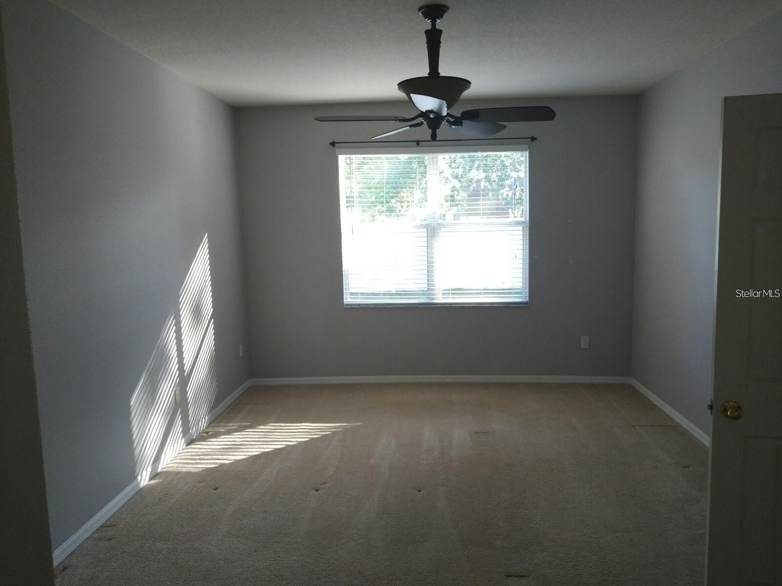 5804 Justicia Loop Land O Lakes FL 34639 TB8515216 image12