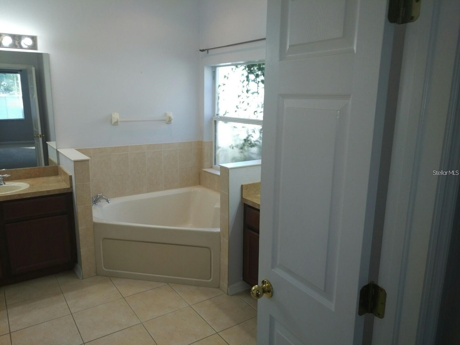 5804 Justicia Loop Land O Lakes FL 34639 TB8515216 image15