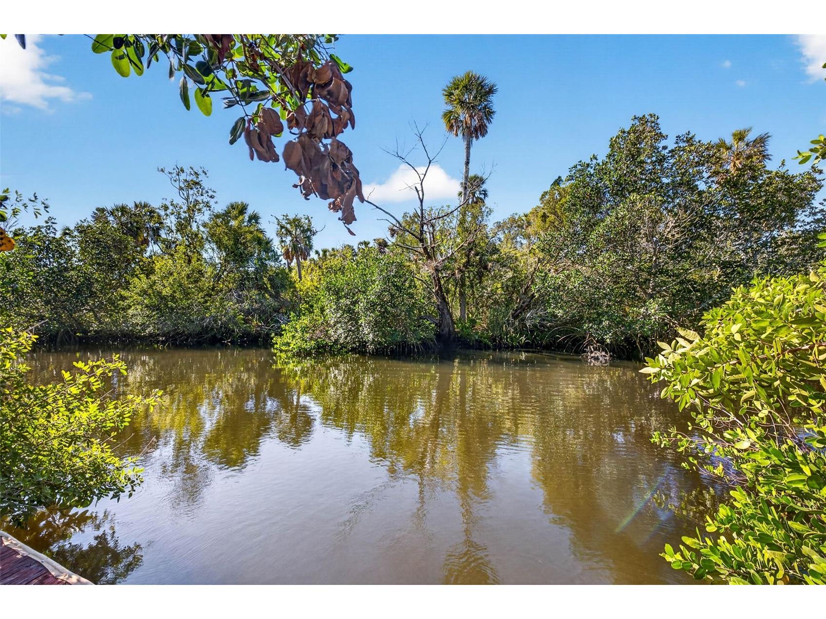 5804 Seabreeze Drive Port Richey FL 34668 W7885004 image1