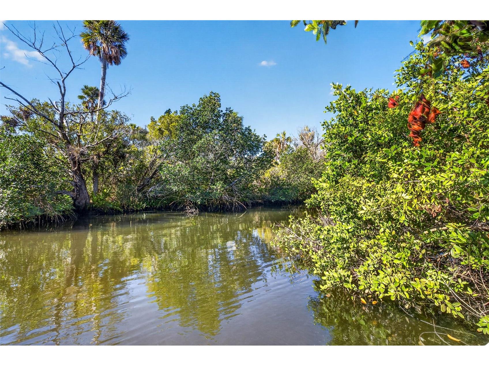 5804 Seabreeze Drive Port Richey FL 34668 W7885004 image2