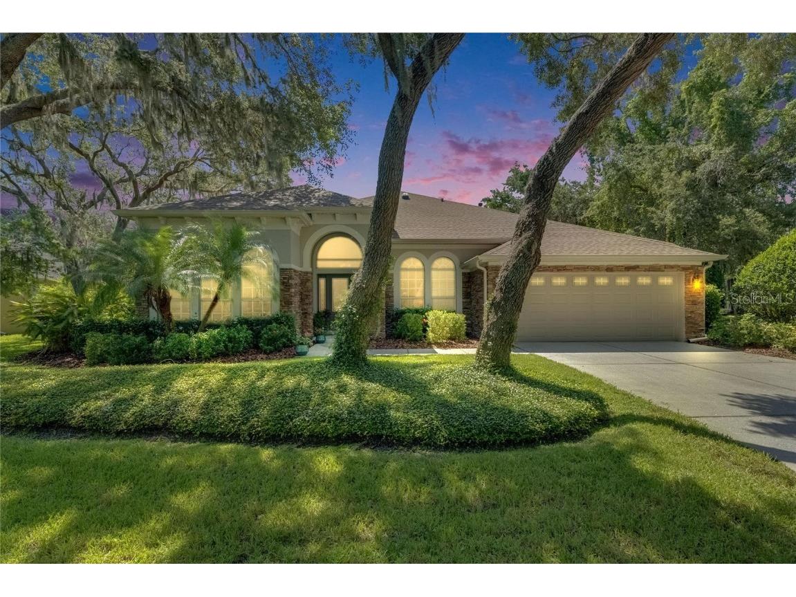 5804 Terncrest Drive Lithia FL 33547 TB8400013 image1