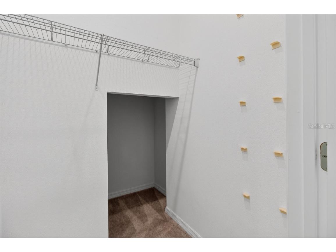 5805 Fieldmoor Court Palmetto FL 34221 TB8457849 image24