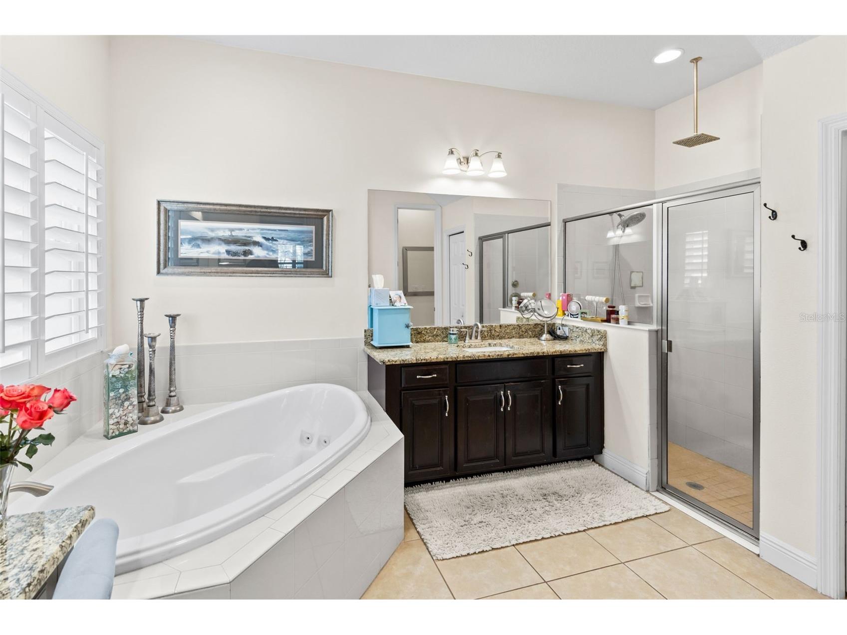 5805 Watercolor Drive Lithia FL 33547 TB8520613 image23