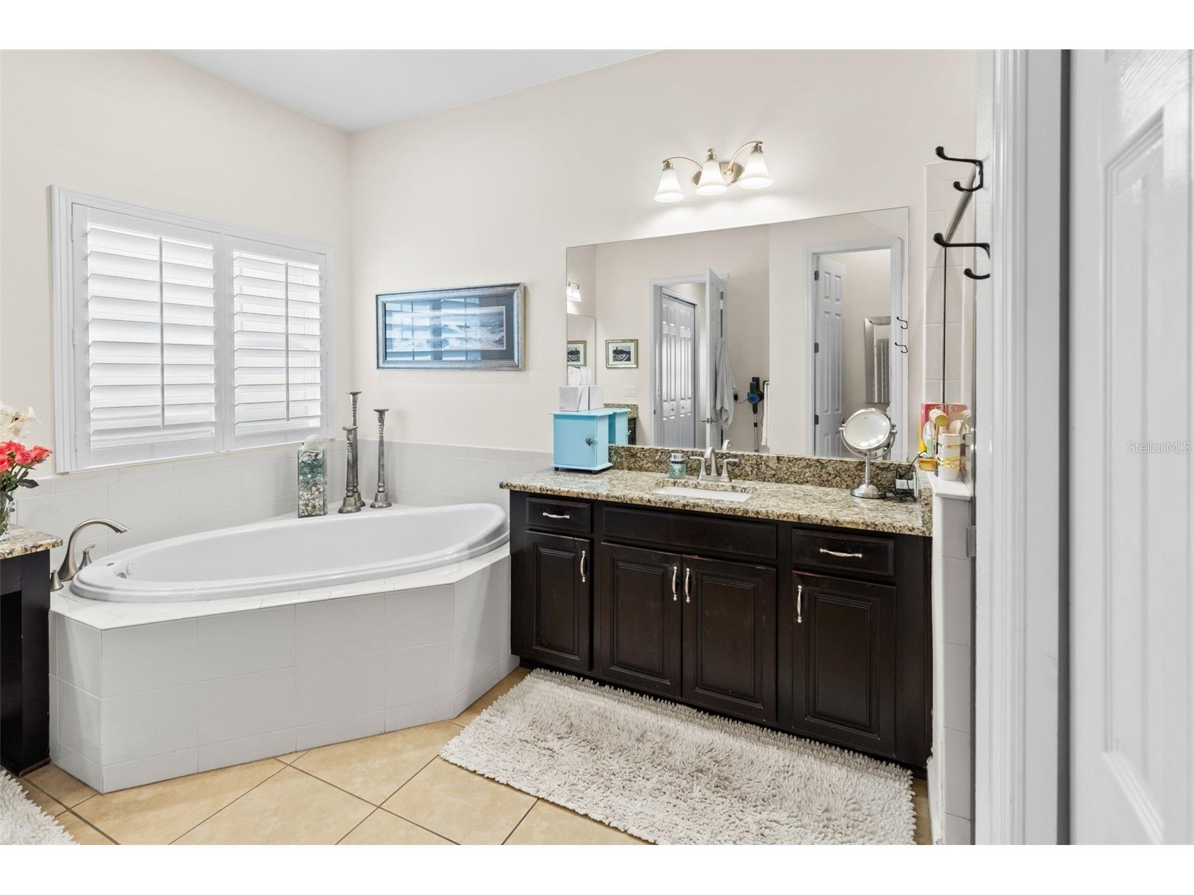 5805 Watercolor Drive Lithia FL 33547 TB8520613 image24