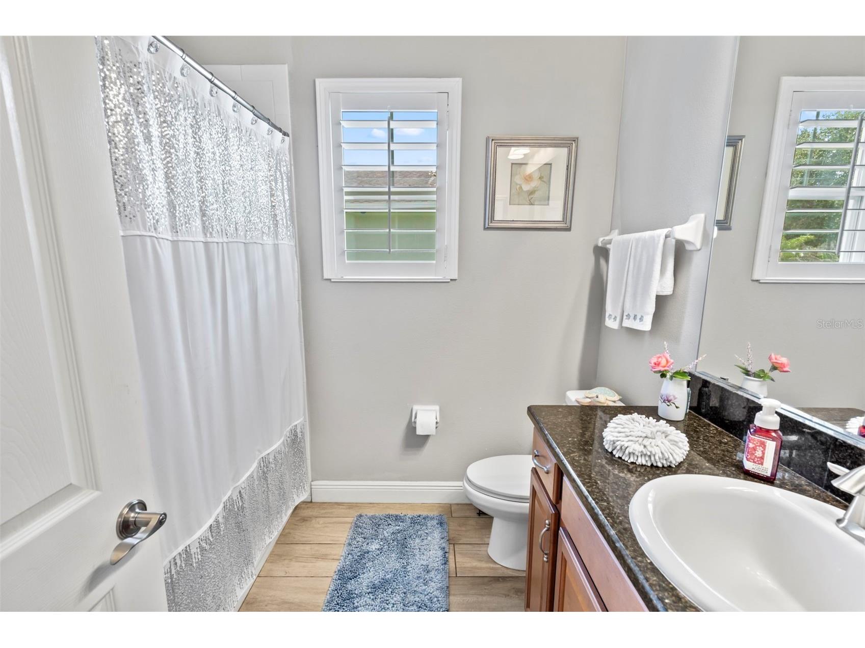 5805 Watercolor Drive Lithia FL 33547 TB8520613 image30