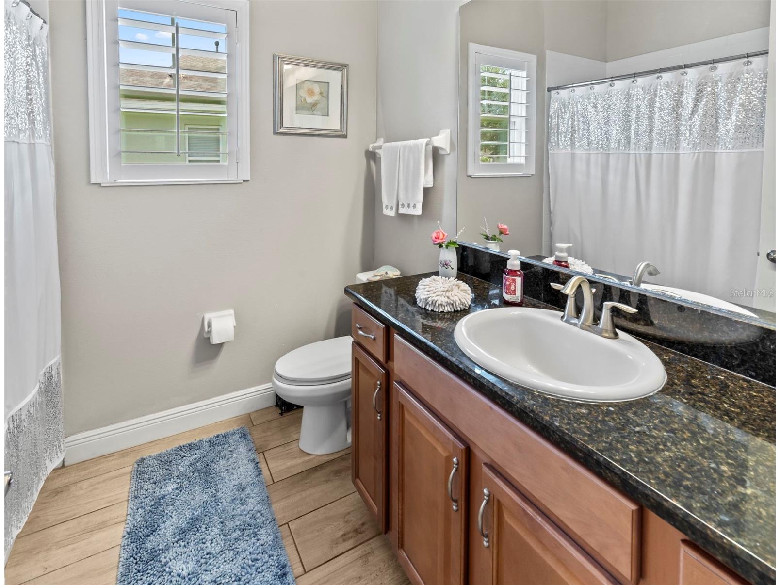 5805 Watercolor Drive Lithia FL 33547 TB8520613 image31