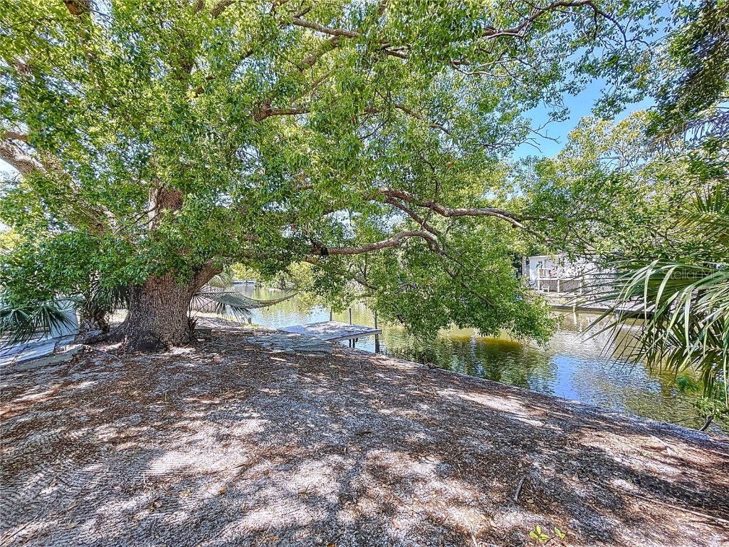 5806 Liverpool Drive Tampa FL 33615 TB8381610 image12