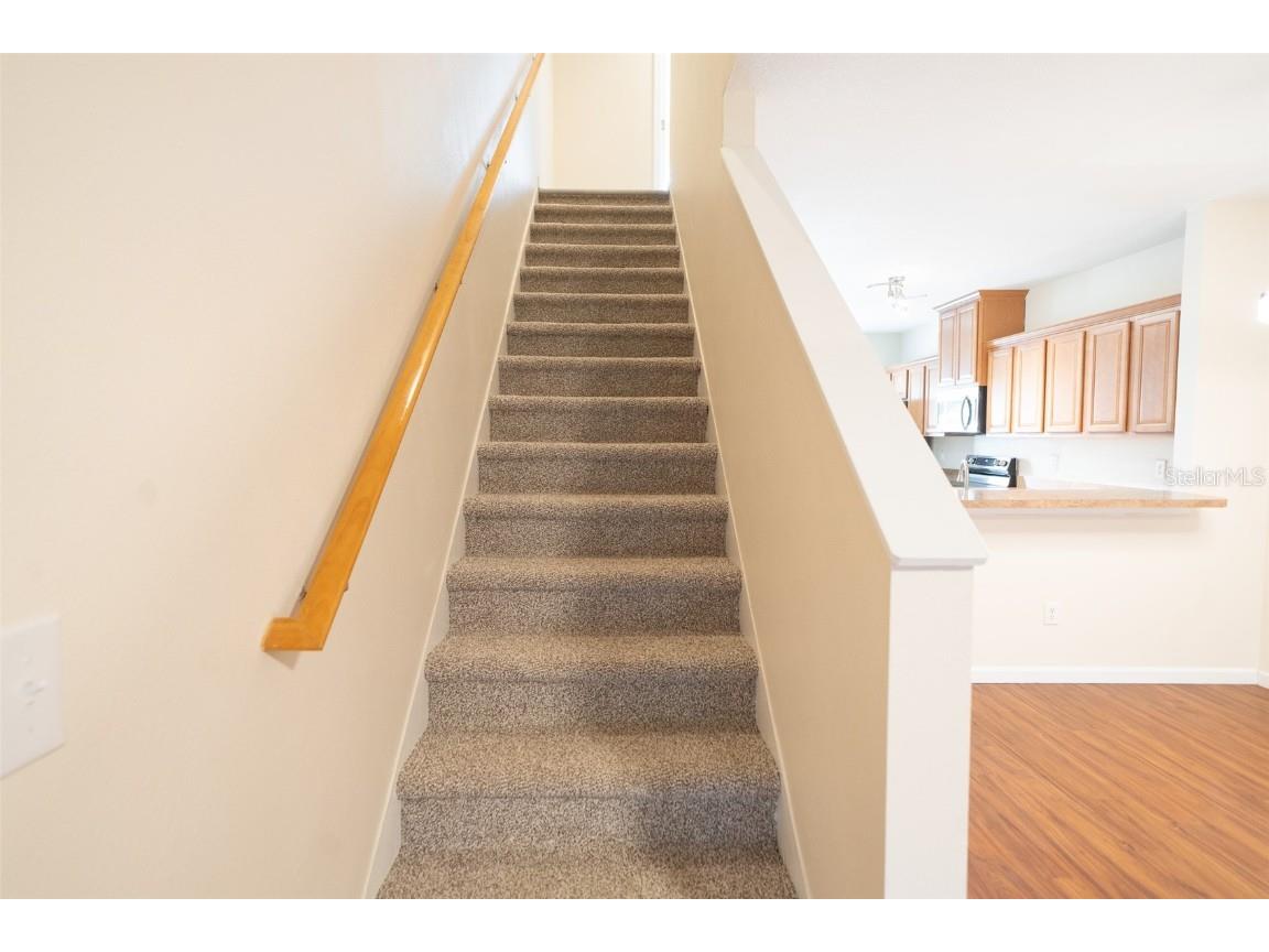 5808 Nature Terrace Cove Tampa FL 33617 TB8455355 image11