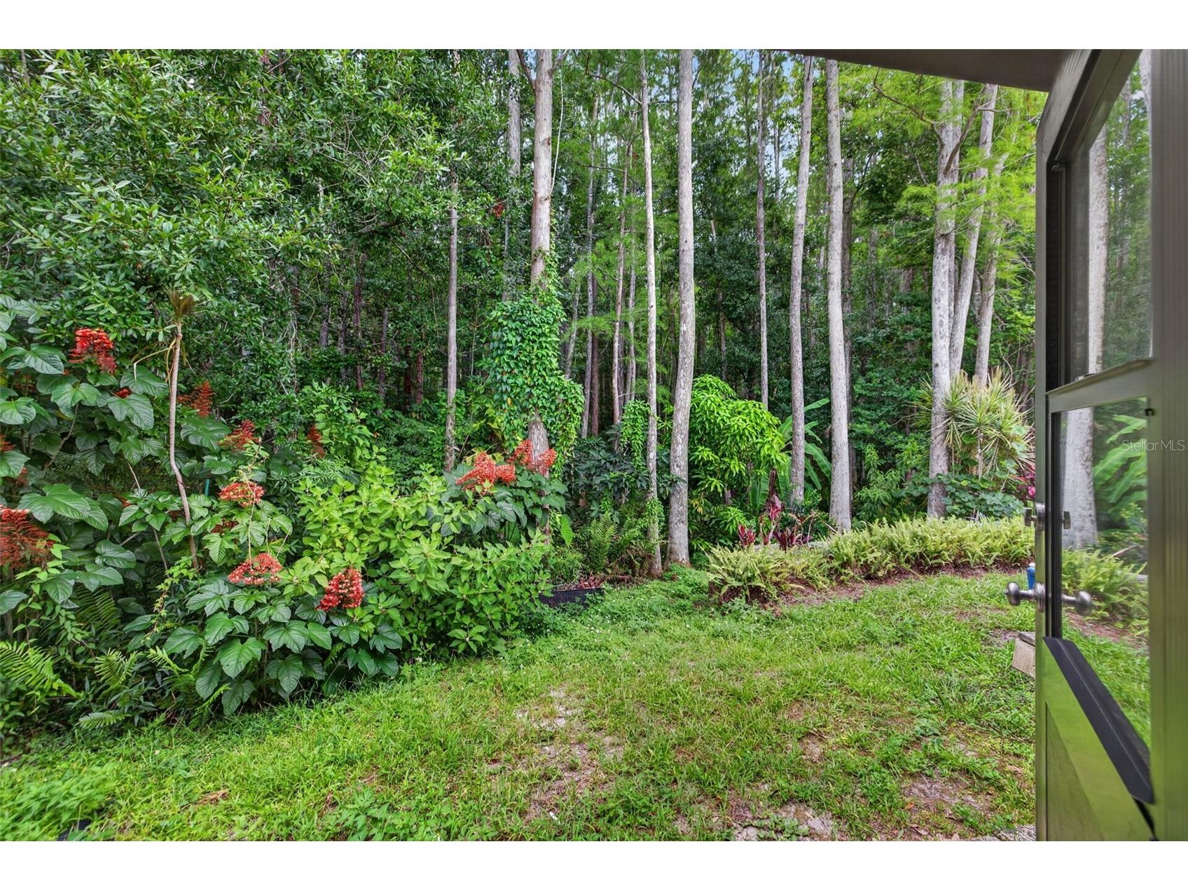 5808 Red Cedar Lane Tampa FL 33625 TB8523494 image20