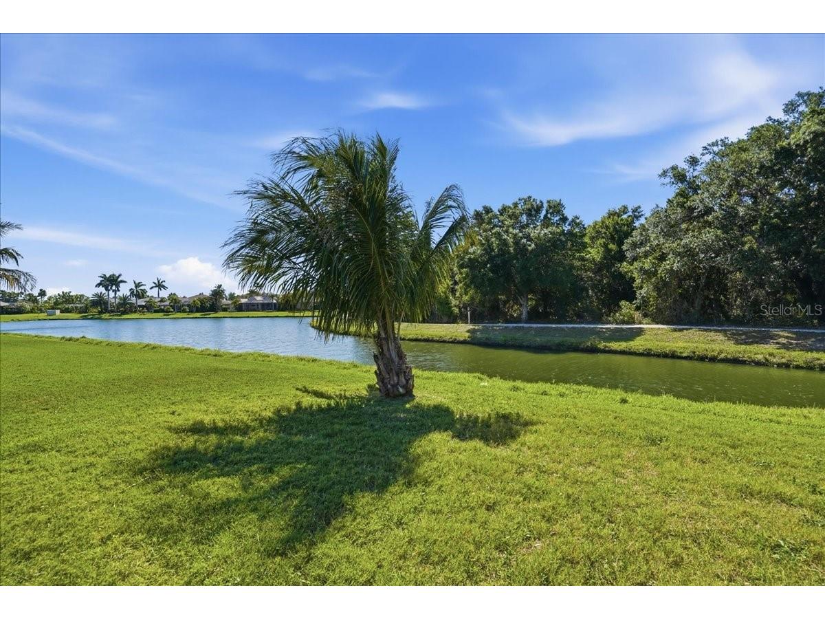 5809 Lexington Drive Parrish FL 34219 A4689962 image38