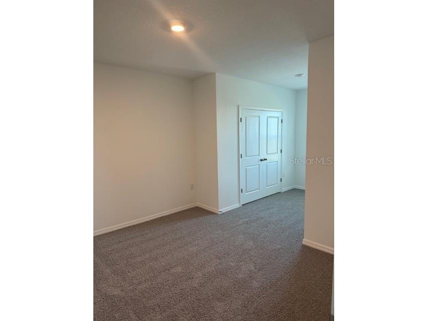 581 Mangrove Shade Circle Apollo Beach FL 33572 W7879619 image3