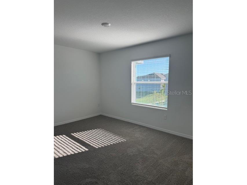 581 Mangrove Shade Circle Apollo Beach FL 33572 W7879619 image6