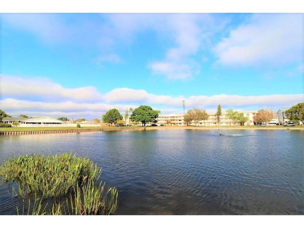 5810 21st Street N #15 Saint Petersburg FL 33714 TB8414611 image27