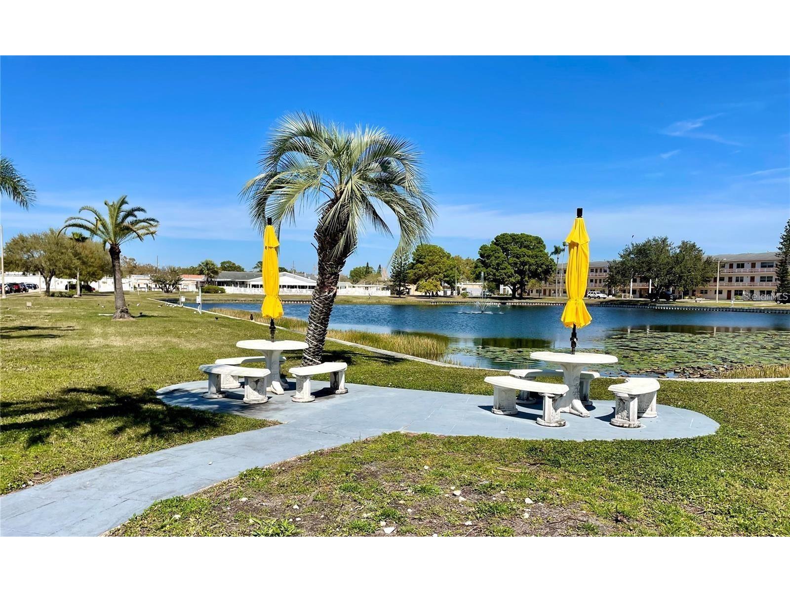 5810 21st Street N #2 Saint Petersburg FL 33714 O6393662 image22