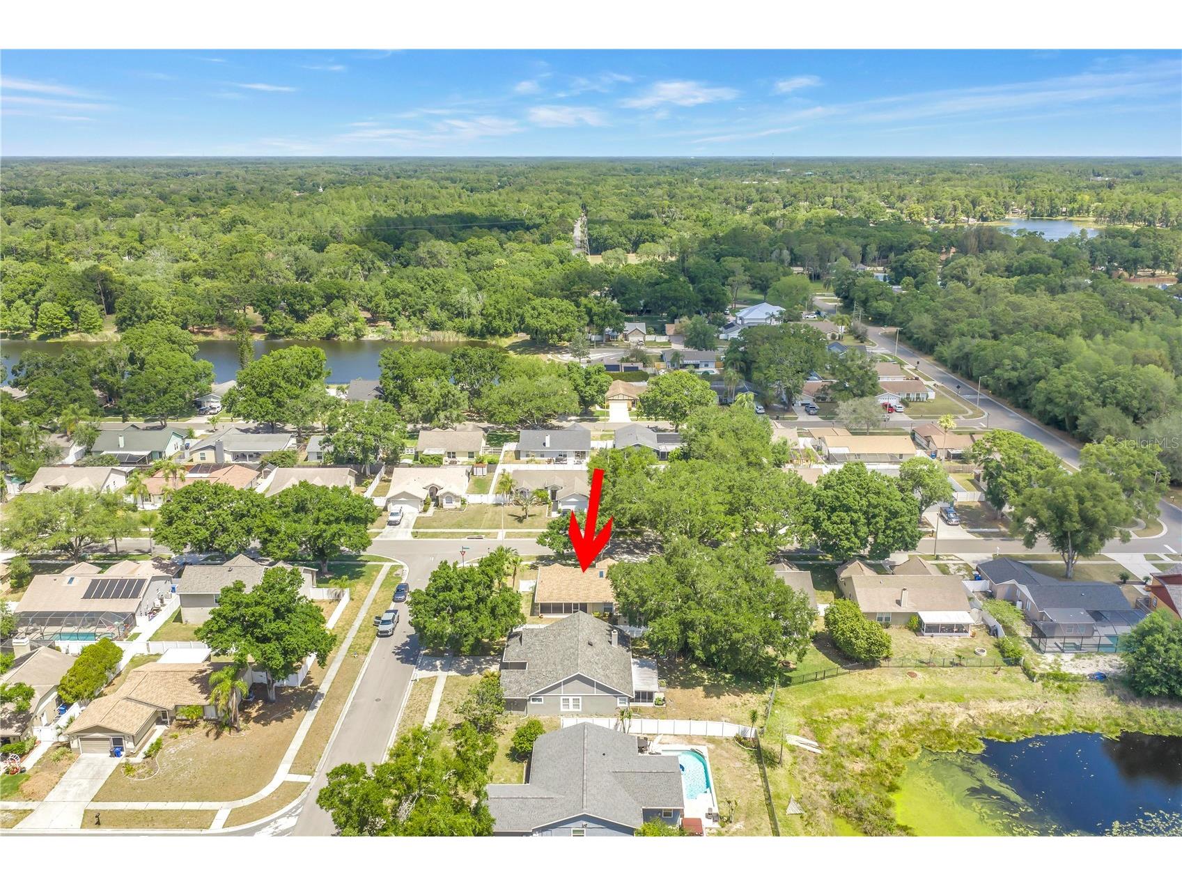 5810 Bitter Orange Avenue Tampa FL 33625 TB8498828 image47