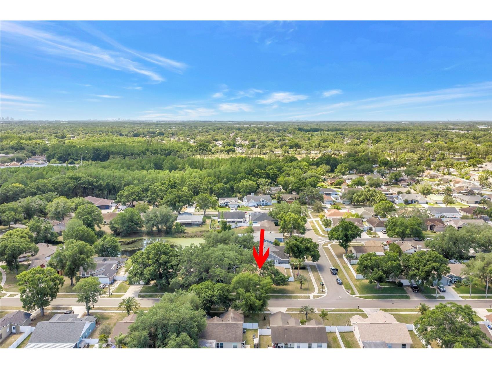 5810 Bitter Orange Avenue Tampa FL 33625 TB8498828 image54