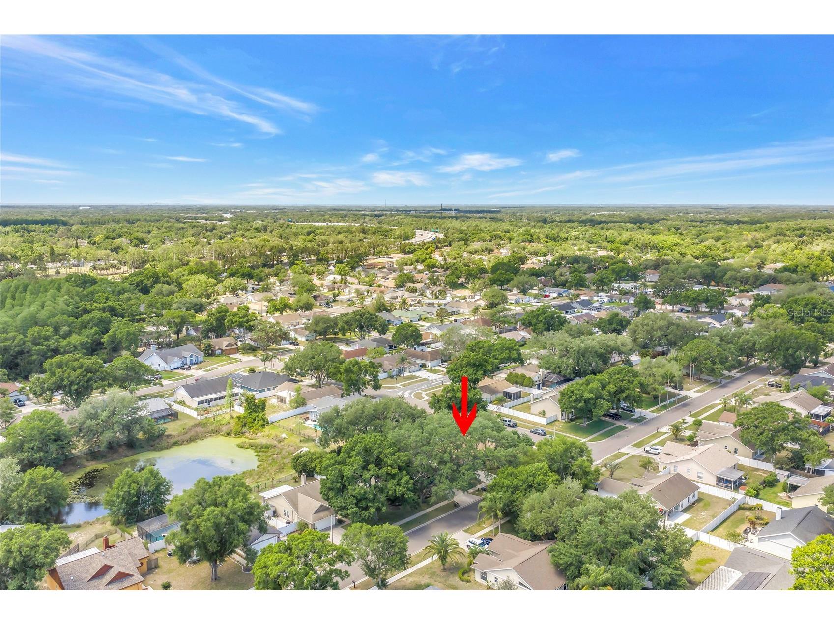 5810 Bitter Orange Avenue Tampa FL 33625 TB8498828 image55