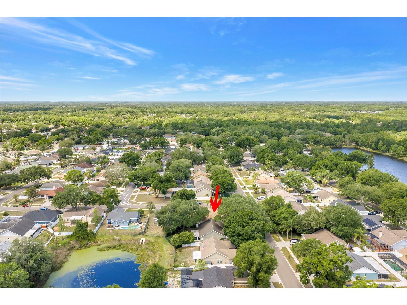 5810 Bitter Orange Avenue Tampa FL 33625 TB8498828 image56