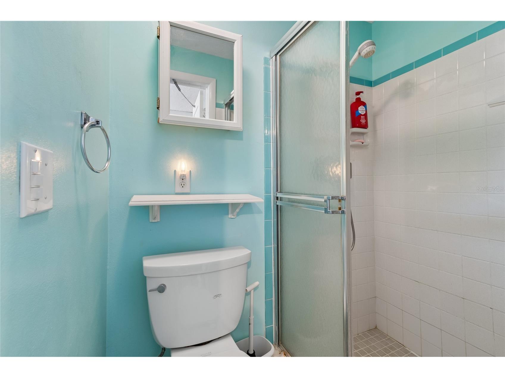 5810 Friedly Avenue New Port Richey FL 34652 TB8499714 image39