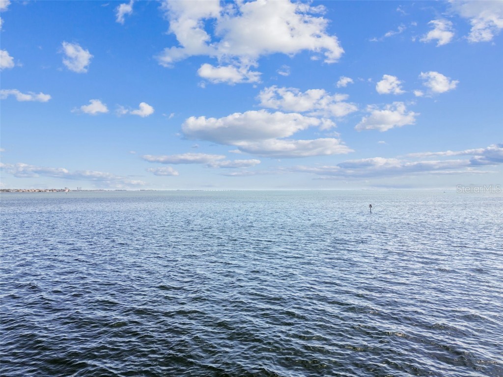 5810 Mariner Street Tampa FL 33609 - OLD TAMPA BAY TB8383270 image86