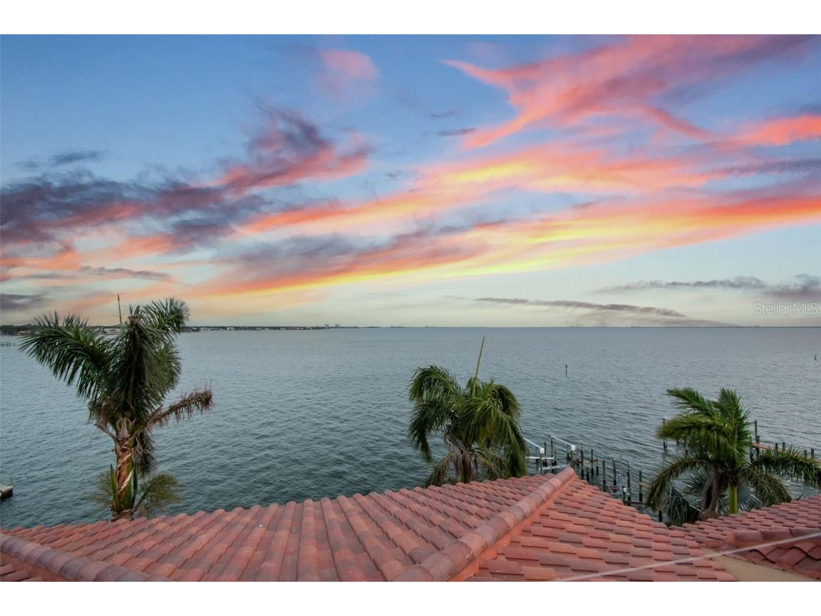 5810 Mariner Street Tampa FL 33609 - OLD TAMPA BAY TB8383270 image9