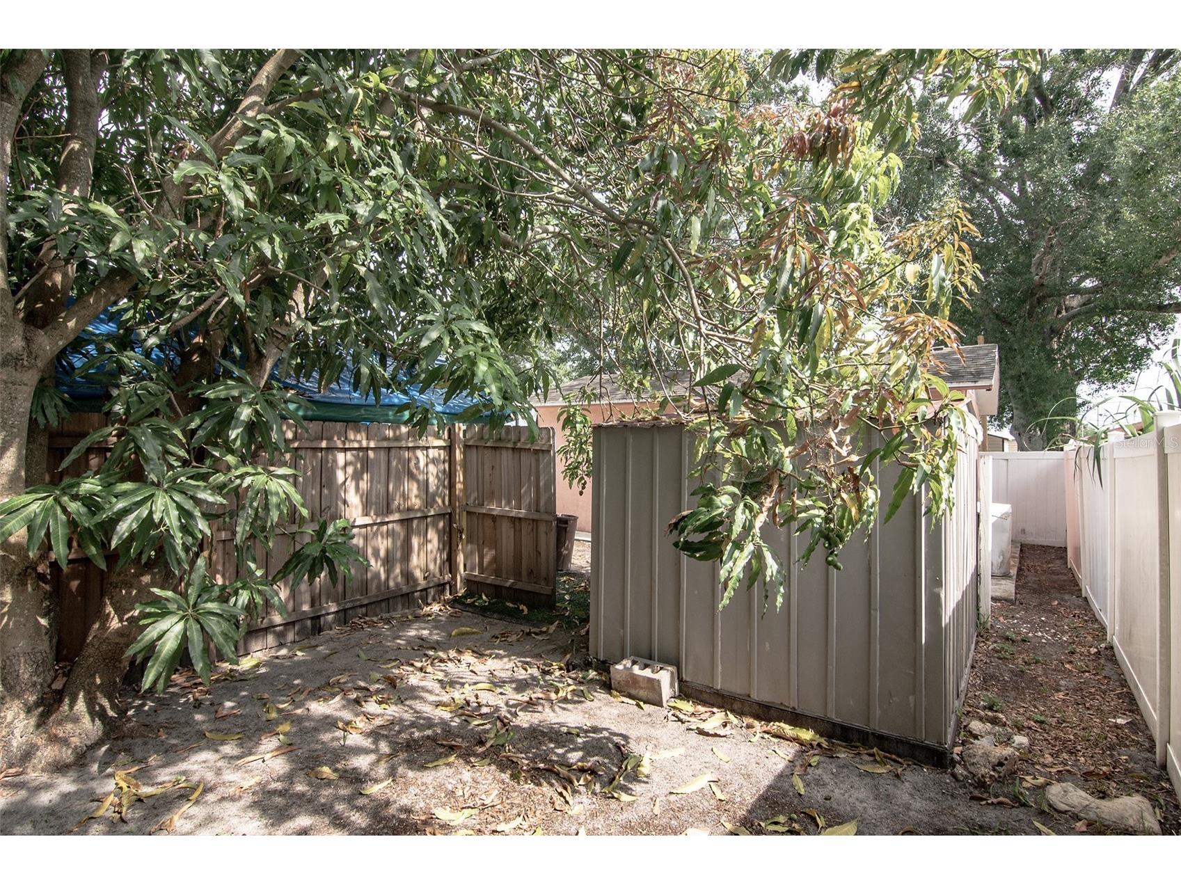 5810 N Thatcher Avenue Tampa FL 33614 TB8507401 image59