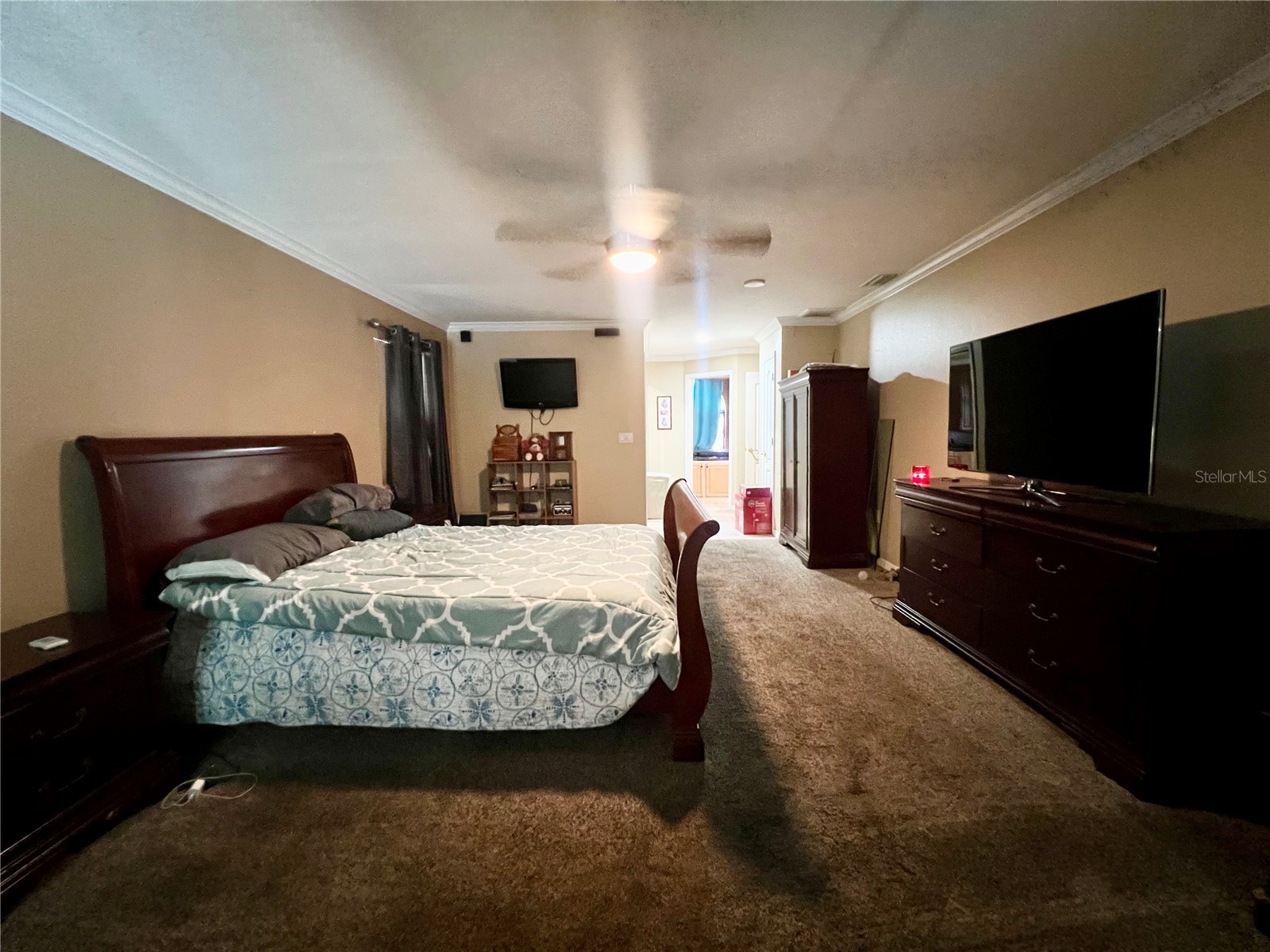5810 Redhawk Drive New Port Richey FL 34655 TB8493879 image21